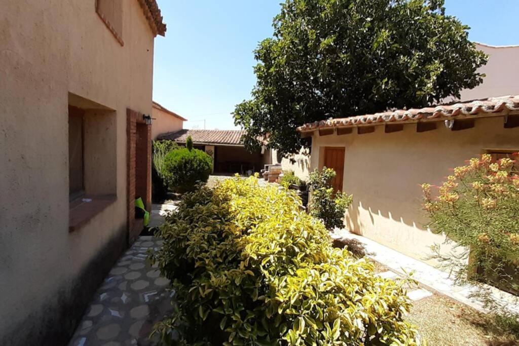 Casa Rural La Paloma - Zamora Manganeses de la Lampreana 外观 照片